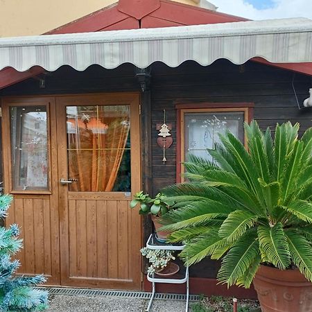 Nonna Lori'S Chalet Pisa Zona Stazione E Aeroporto Dış mekan fotoğraf
